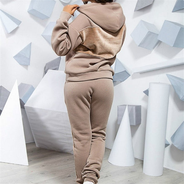 Two Piece Set Tracksuit Women Winter Hoodies Pants Suit Set Ropa Mujer Warm Pullover Sweatshirt Hoodie Feminino Big Size S-3XL